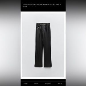Zara Pleather Pants